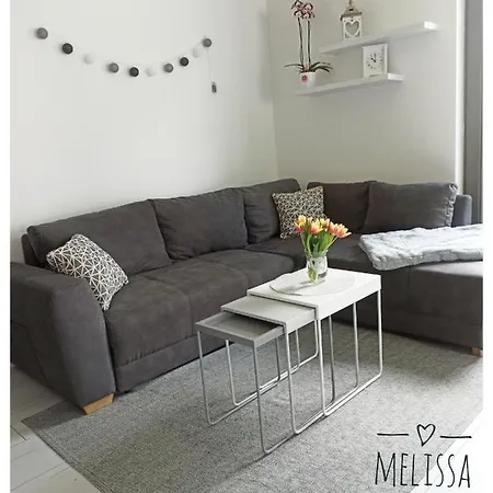 公寓 Melissa Apartman 巴拉顿菲赖德